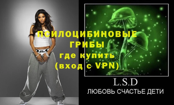 PSILOCYBIN Абинск