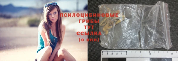 шишки Алексин
