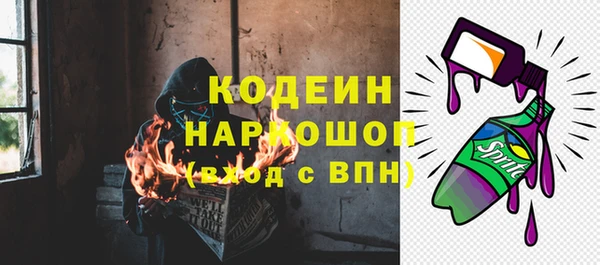 гашик Алзамай