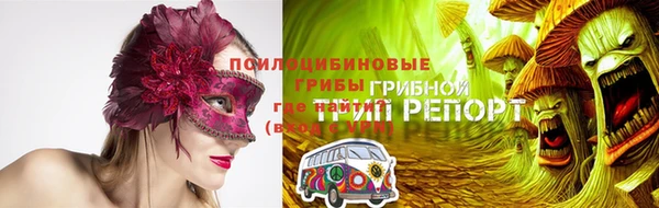 шишки Алексин