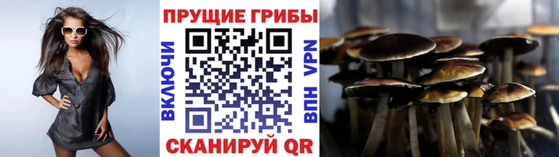 Галлюциногенные грибы Magic Shrooms  магазин    Северодвинск 